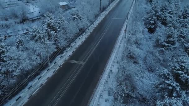 Вид з повітря на дорогу через сніговий сосновий ліс взимку. Постріл. Вид з повітря глибокий зимовий сільський сільський пейзаж, що летить вздовж покинутої дороги через густі лісові дерева, вкриті свіжим снігом — стокове відео