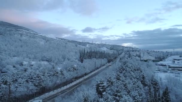 Aerial view of road through snow pine forest in winter. Shot. Aerial view deep winter rural country landscape flying over along deserted road through dense forest trees covered with fresh snow — Stock Video