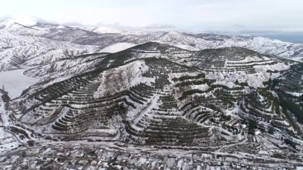 Вид с воздуха на деревню в зимних горах, восход солнца в зимних горах. Выстрел. Зимой горы с лесами покрыты снегом — стоковое видео