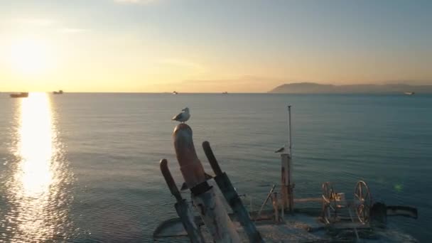 Close-up de navio velho e destruído tronco e gaivota sentado em um tubo enferrujado contra o céu por do sol. Atingido. paisagens marinhas — Vídeo de Stock