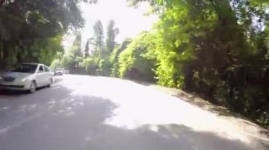 Ağaçları ile döşeli yolda araba sürmek. Sahne. Banliyö asfalt yol trafik ve nadir ormanda ev sahipliği yapmaktadır. Araba ile yaz aylarında seyahat