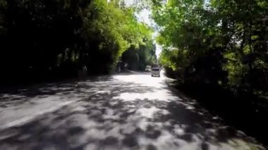 Ağaçları ile döşeli yolda araba sürmek. Sahne. Banliyö asfalt yol trafik ve nadir ormanda ev sahipliği yapmaktadır. Araba ile yaz aylarında seyahat