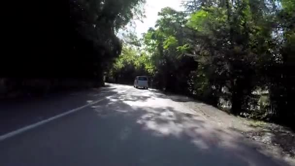 蜿蜒的柏油路穿过森林。现场。汽车之旅在蜿蜒的山路之间的绿色树木和美丽的阳光 — 图库视频影像