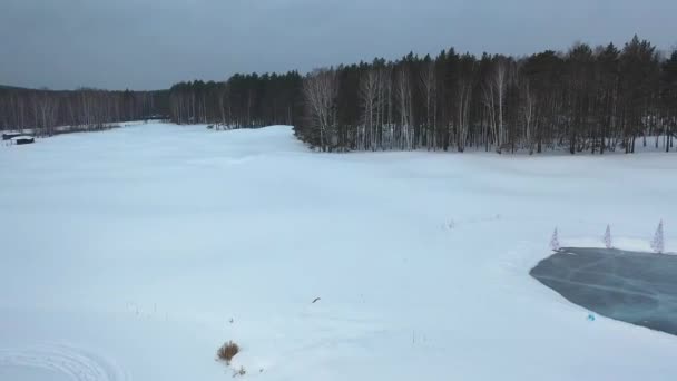 Вид с воздуха на замерзшее озеро рядом с хвойными деревьями зимой на серое небо. Запись. Прекрасная зимняя природа — стоковое видео