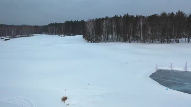 Flygfoto över frusen sjö nära barrträden vintertid mot grå himmel. Footage. Vackra vinter natur — Stockvideo