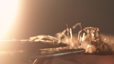 Usta berber erkekte saç keser. Çerçeve. Kuaför saç modeli için genç bir adam yapar. Ağır çekim