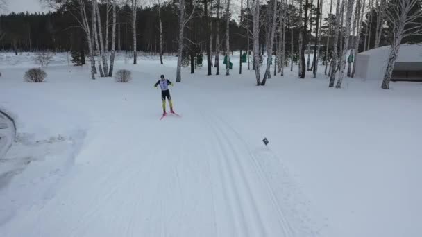 Desportista participando de uma competição de esqui e correndo em uma pista de esqui perto da floresta no inverno contra o céu cinzento da noite. Filmagem. Esportes e competições — Vídeo de Stock