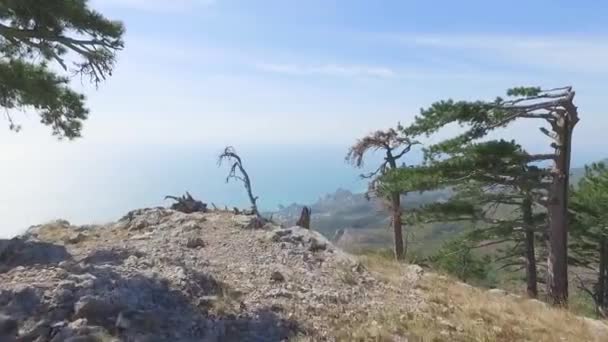 Vue panoramique sur le paysage désertique avec des crêtes de montagne escarpées et des vallées sous un ciel gris. Fusillade. Voyage d'aventure, tourisme et concept de conservation — Video