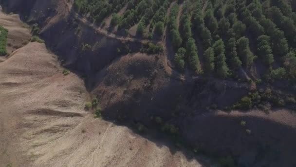 Vista dall'alto della città via mare attraverso gli alberi. Gli hanno sparato. Bella vista sul mare in una giornata estiva soleggiata — Video Stock