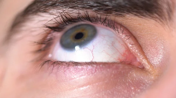 Extreme close-up van een mooie blauwe man oog rond te kijken, menselijk lichaam concept. Media. Beweging van het blauwe mannelijke oog. — Stockfoto