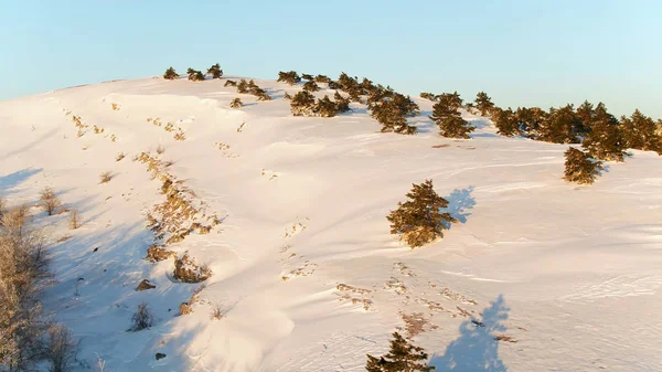 Paesaggio invernale con roccia di pietra ricoperta di neve. Gli hanno sparato. Vista dall'alto della collina innevata nel bosco — Foto Stock