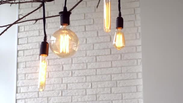 Lampes suspendues vintage sur fond blanc de mur. Les médias. Ampoules vintage lumineuses de différentes formes suspendues sur la branche à l'intérieur avec mur de briques blanches — Video