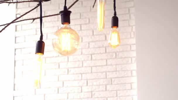 Vintage hanging lamps on white background of wall. Media. Glowing vintage light bulbs of different shapes hang on branch in interior with white brick wall — Stock Video