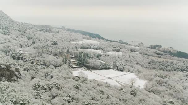 Bovenaanzicht van het met sneeuw bedekte bos aan zee. Shot. Luchtfoto van de winter sneeuw bedekt bos en koude zee van boven gevangen met een drone — Stockvideo