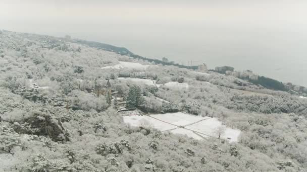 Blick von oben auf den verschneiten Wald am Meer. Schuss. Luftaufnahme des schneebedeckten Winterwaldes und des kalten Meeres von oben mit einer Drohne aufgenommen — Stockvideo