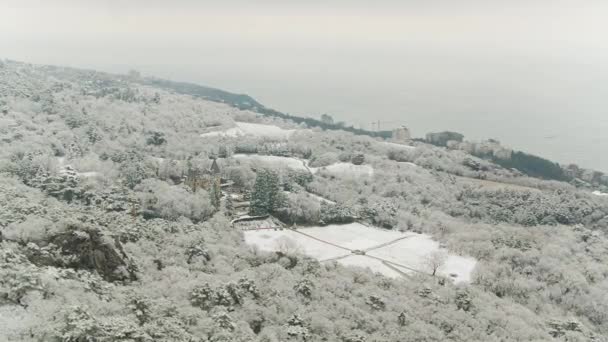 Vista superior del bosque cubierto de nieve junto al mar. Le dispararon. Vista aérea del bosque cubierto de nieve de invierno y el mar frío desde arriba capturado con un dron — Vídeo de stock