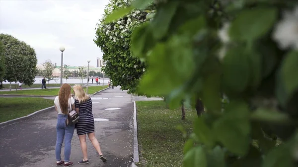 Cerca de hojas verdes y flores blancas de un manzano y dos niñas de pie detrás de él en el parque de la ciudad. Imágenes de archivo. Dos mujeres jóvenes mirando el teléfono inteligente cerca del lago y los manzanos . — Foto de Stock