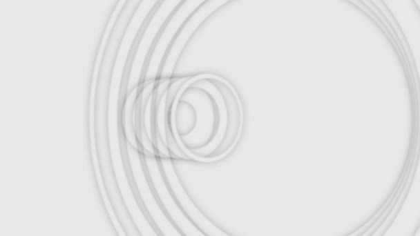 Abstrakte Wifi oder Radiowellen Hintergrund weiß und grau, nahtlose Schleife. Animation. schöner grauer Kreis rahmt pulsierende Bewegung, monochrom. — Stockvideo