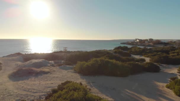 Spiaggia cespugliosa sullo sfondo del mare e cielo blu. Art. Vista dall'alto della bellissima spiaggia con cespugli verdi e mare tranquillo che riflette il sole — Video Stock