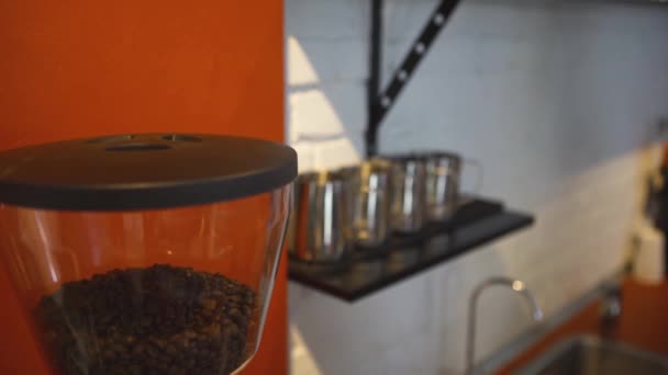 Close-up of coffee beans in coffee grinder. Art. Professional Barista equipment behind counter with shelf with iron glasses. Electric coffee grinder with beans before grinding — Stock Video