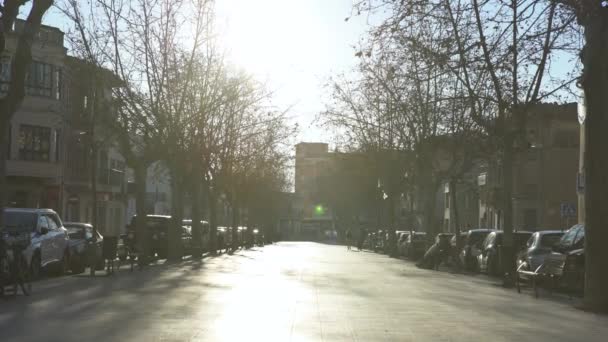 Barselona, İspanya - Mayıs, 2018: Evler ile Lively Park alley. Madde. Güneşli sonbahar gününde asfalt sokak, ağaçlar, banklar ve Avrupa tarzı evler ile yerleşim alanı görünümü — Stok video