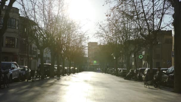 Barcelona, Spanje-mei, 2018: levendig Park Alley met huizen. Kunst. Uitzicht op de woonwijk met asfalt steeg, bomen, banken en Europese stijl huizen op zonnige herfst dag — Stockvideo