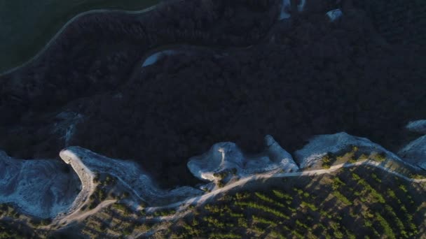 Вид зверху незвичайних форм вулканічних скель в Новій Зеландії. Постріл. Антена для красивих кам'яних скель і зелених дерев з луною. — стокове відео