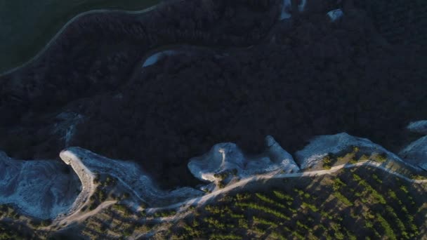 Vue de dessus des formes inhabituelles des falaises volcaniques en Nouvelle-Zélande. Fusillade. Aerial pour de beaux rochers de pierre et des arbres verts avec une prairie . — Video