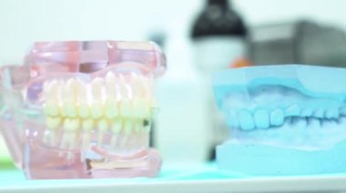Diş kliniği, diş bakımı ve tıp konsepti nin masasında çene modeli. Medya. Diş hekimi ofisinde yanlış çene için yakın.