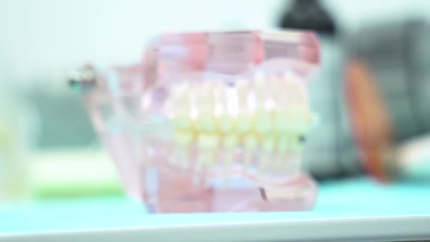 치과 진료소, 치과 치료 및 의학 개념의 테이블에 턱의 모델. 미디어. 치과 의사 사무실에서 거짓 턱에 대한 닫기. — 비디오