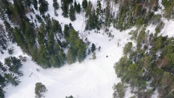 Luftaufnahme von Menschen, die im Wald zwischen Nadelbäumen Ski fahren. Filmmaterial. Skigebiet — Stockvideo