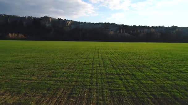 Vista da vicino di un grande campo verde con alta montagna scogliera sullo sfondo contro il cielo blu. Un filmato. Bellissimo paesaggio montano — Video Stock