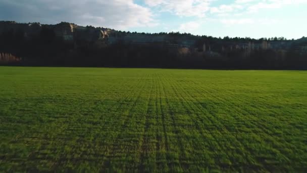 Vue rapprochée d'un grand champ vert avec une haute falaise de montagne sur le fond contre le ciel bleu. Des images. Beau paysage de montagnes 