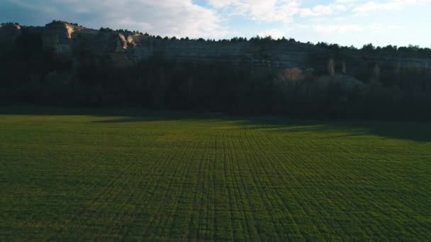 Pohled zblízka na velké zelené pole s vysokým horským útesem na pozadí proti modré obloze. Záběry. Nádherná krajina v horách — Stock video