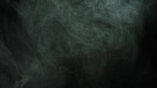 Humo ondulado sobre fondo negro. Imágenes de archivo. Flujos delgados de nubes de humo blanco que se extienden sobre un fondo negro aislado — Vídeo de stock