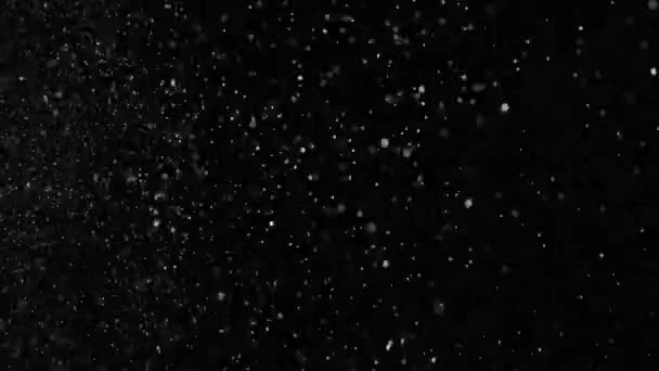 黒い背景に白いほこりのバースト。ストック映像。黒い孤立した背景に白い粉の爆発ストリーム — ストック動画