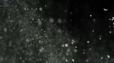 Siyah arka planda beyaz un patlaması. Stok görüntüleri. Siyah izole arka plan üzerinde ufalanan parçacıklar ile beyaz toz kalın bulut patlama