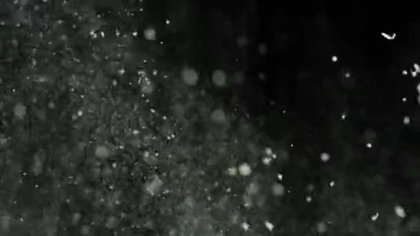 Explosion de farine blanche sur fond noir. Images d'archives. Explosion d'un épais nuage de poudre blanche avec des particules qui s'effritent sur fond noir isolé 