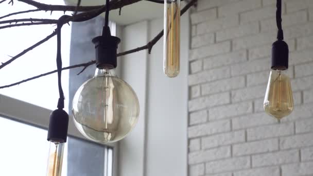 白いレンガの壁と部屋の天井から黒いワイヤーにぶら下がっている異なる形態の導かれた電球のためにクローズアップ。メディア。木の枝に美しいレトロな電球、家の装飾要素. — ストック動画
