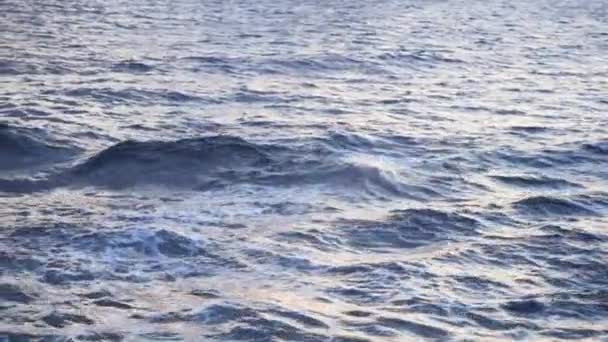 De nombreux oiseaux volent dans les airs sous le ciel du soir. Des actions. Troupeau blanc de mouettes s'élevant au-dessus de la mer bleue avec le ciel couchant et le rivage en arrière-plan . — Video