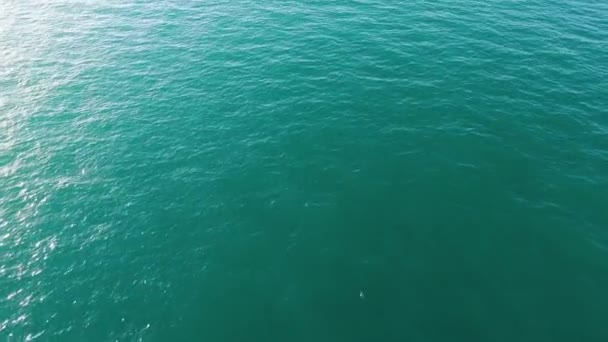 Vista aérea de la calma del mar o la superficie del agua del océano, fondo natural. Acciones. Vista superior del agua limpia del océano con destellos de sol . — Vídeos de Stock