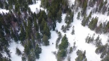İnsanlar kış ormanında yamaç aşağı snowboard, ekstrem spor kavramı. Görüntü. Karlı tepeden aşağı sürme Atlet snowboarders havadan üst görünümü.