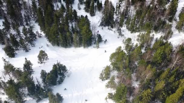 Az emberek snowboard a hóban lejtőn a téli erdőben, légi megtekintéséhez. Felvétel. Drone felülnézet a téli üdüléshez festői fenyőerdőben. — Stock videók