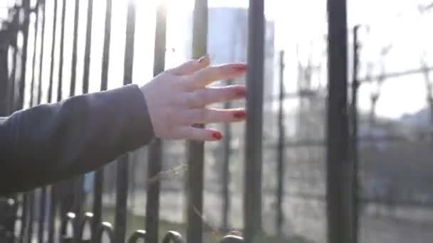 Mooie jonge vrouw die op zonnige dag langs de straat loopt. Actie. Modieuze jonge vrouw die langs het hek loopt — Stockvideo