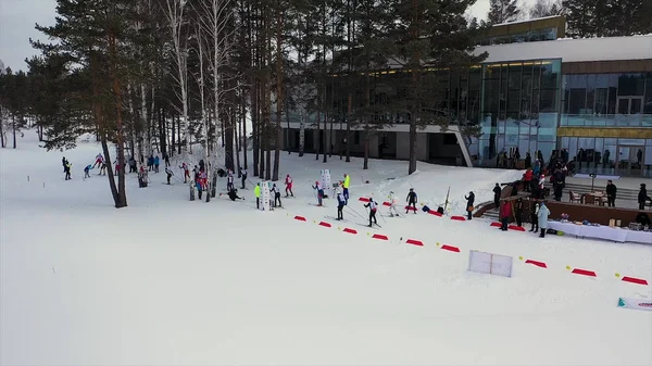 Εναέρια για την ομάδα των σκιέρ αθλητές ξεκινώντας σκι cross country, έννοια του ανταγωνισμού. Πλάνα. Νεαροί αθλητές που ξεκινούν τον αγώνα στα πεύκα και στο φόντο του γκρίζου ουρανού. — Φωτογραφία Αρχείου