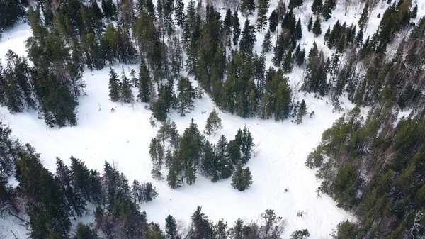 空中无人机视图冬季森林覆盖在雪中，美丽的自然。镜头。冰冻的松树森林，顶视图. — 图库照片