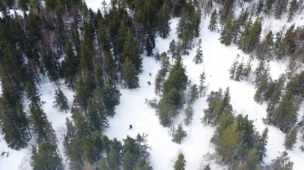 Les gens descendent la pente en snowboard dans la forêt d'hiver, concept de sport extrême. Des images. Vue aérienne du sommet des athlètes qui descendent une colline enneigée . — Photo