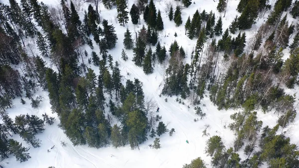 Άνθρωποι σνόουμπορντ στην πλαγιά του χιονιού στο χειμερινό δάσος, εναέρια θέα. Πλάνα. Κηφήνες top θέα των χειμερινών διακοπών σε γραφικά πεύκα δάσος. — Φωτογραφία Αρχείου