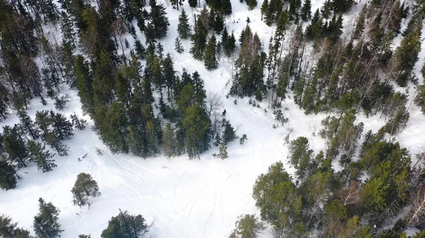 Les gens snowboard sur la pente de neige dans la forêt d'hiver, vue aérienne. Des images. Drone vue de dessus des vacances d'hiver dans la forêt pittoresque de pins . — Photo