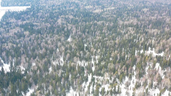 Luftaufnahme der Winterlandschaft mit schneebedeckten Bäumen. Filmmaterial. Blick von oben auf endlose schneebedeckte Baumkronen im Winterwald, Schönheit der Natur. — Stockfoto